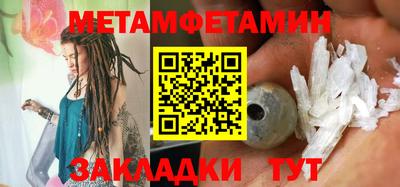 прущие грибы Кингисепп