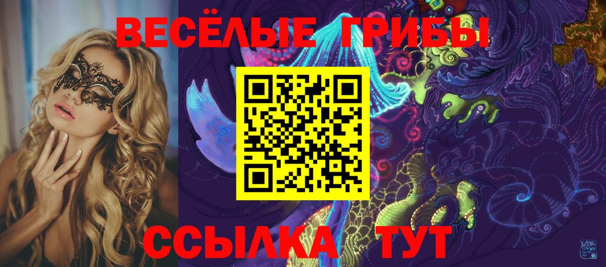 Великий Устюг  Псилоцибиновые грибы прущие грибы  Вход с VPN 