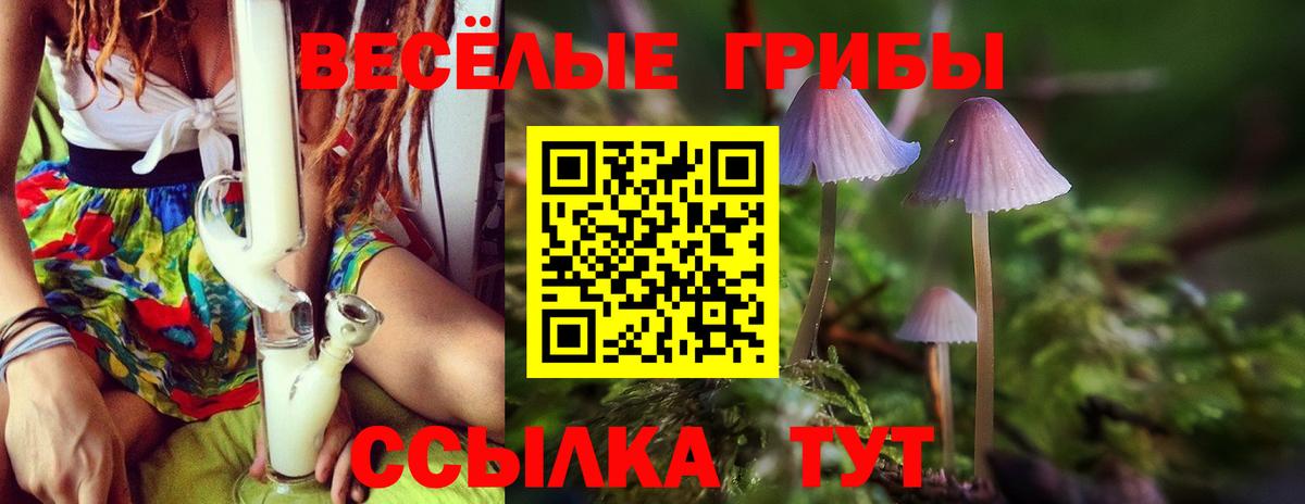 Псилоцибиновые грибы ЛСД Великий Устюг